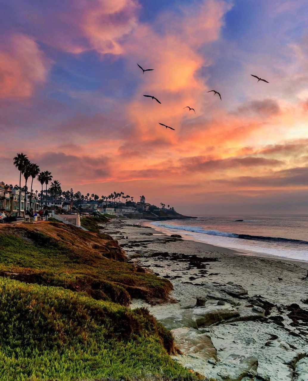 La Jolla sunset
